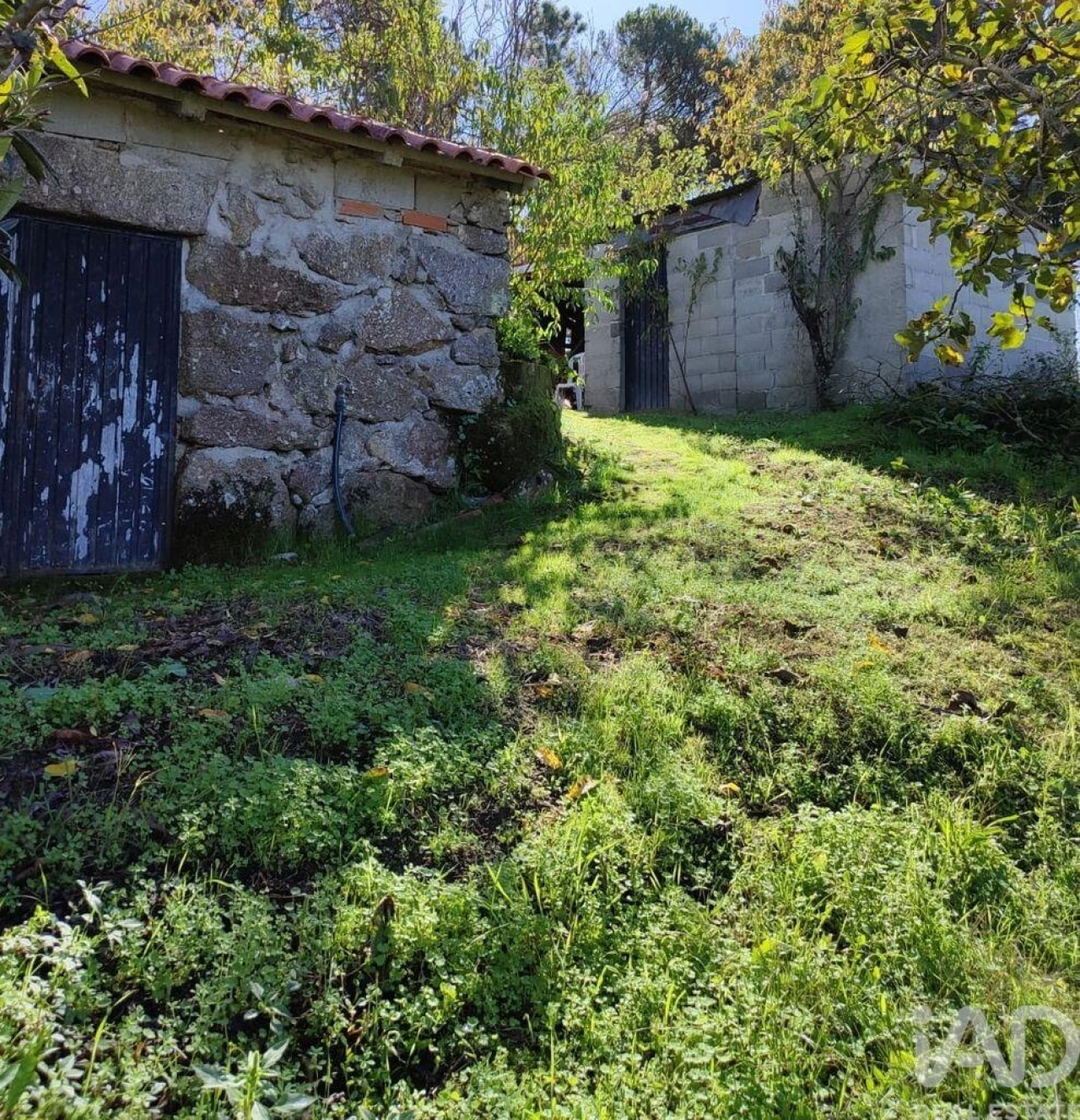 Moradia T2 para Venda em Midões Foto 4