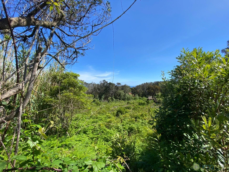Terreno para Venda em Capelo Foto 3