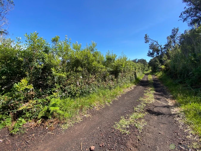 Terreno para Venda em Capelo Foto 4