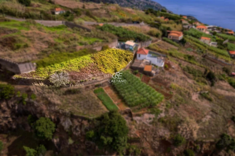 Terreno para Venda em Tabua Foto 8