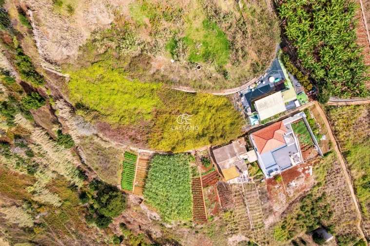 Terreno para Venda em Tabua Foto 2