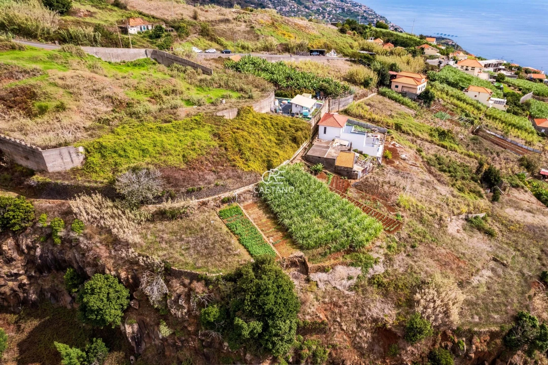 Terreno para Venda em Tabua Foto 6