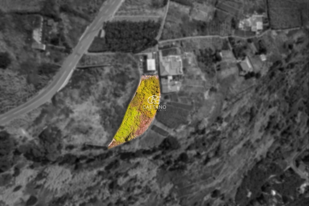 Terreno para Venda em Tabua Foto 4