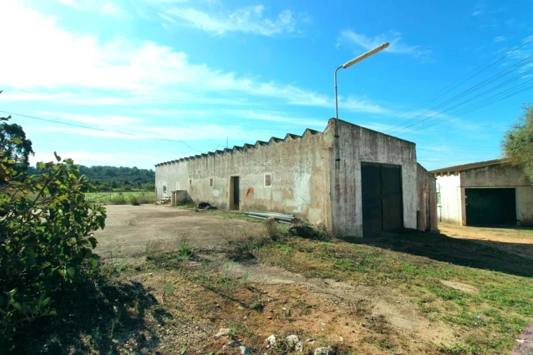 Quinta T14 para Venda em Lagos (São Sebastião e Santa Maria) Foto 9