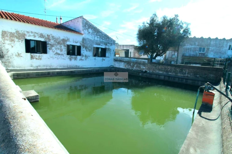 Quinta T14 para Venda em Lagos (São Sebastião e Santa Maria) Foto 6