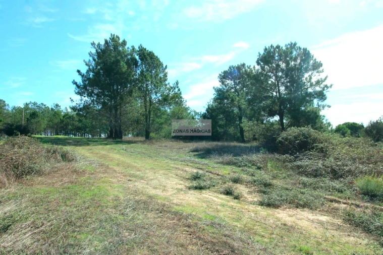 Quinta T14 para Venda em Lagos (São Sebastião e Santa Maria) Foto 23