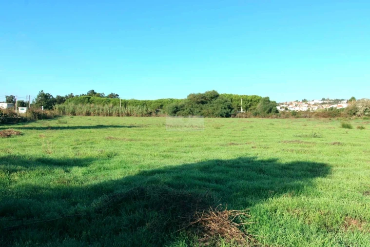 Quinta T14 para Venda em Lagos (São Sebastião e Santa Maria) Foto 19