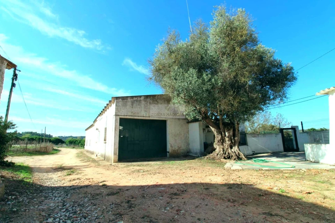 Quinta T14 para Venda em Lagos (São Sebastião e Santa Maria) Foto 10