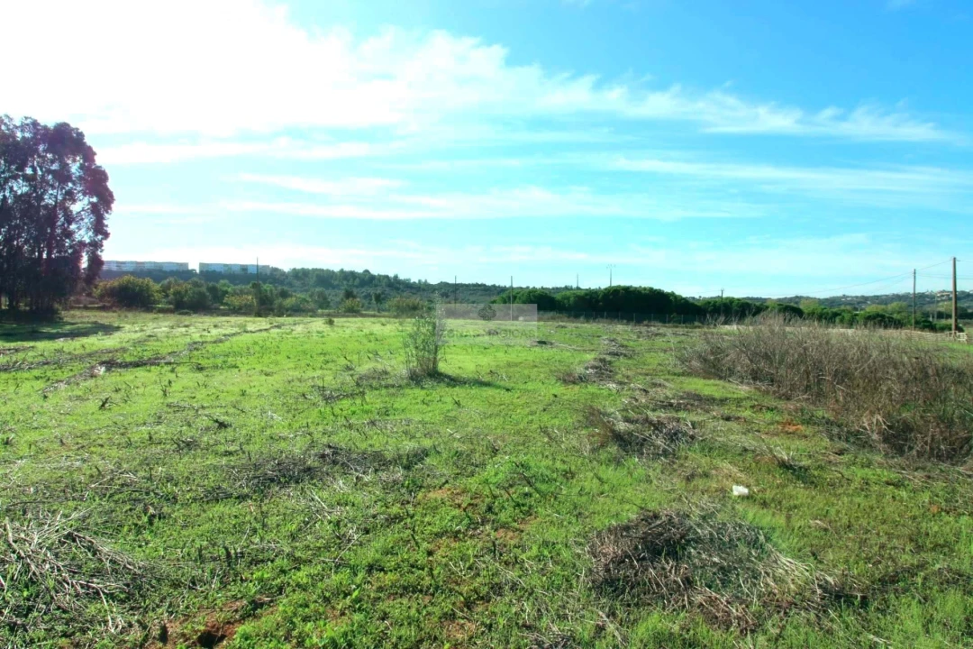 Quinta T14 para Venda em Lagos (São Sebastião e Santa Maria) Foto 20