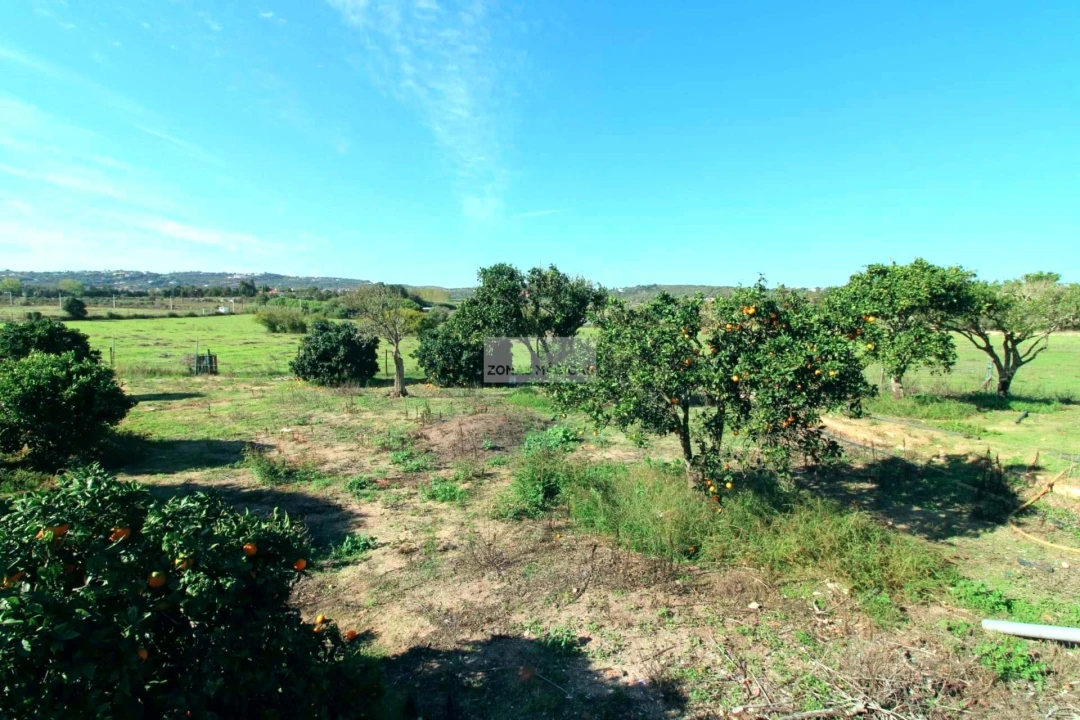 Quinta T14 para Venda em Lagos (São Sebastião e Santa Maria) Foto 17