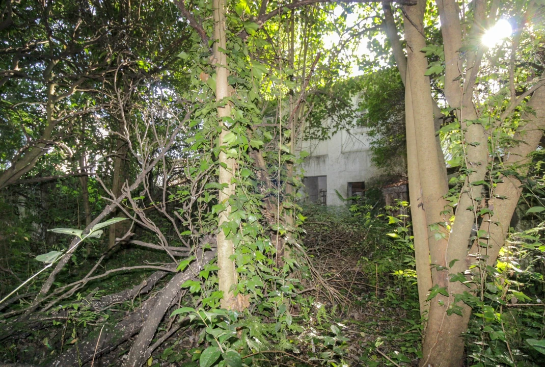 Prédio para Venda em Marvila, Ribeira Santarém, São Salvador, São Nicolau Foto 23