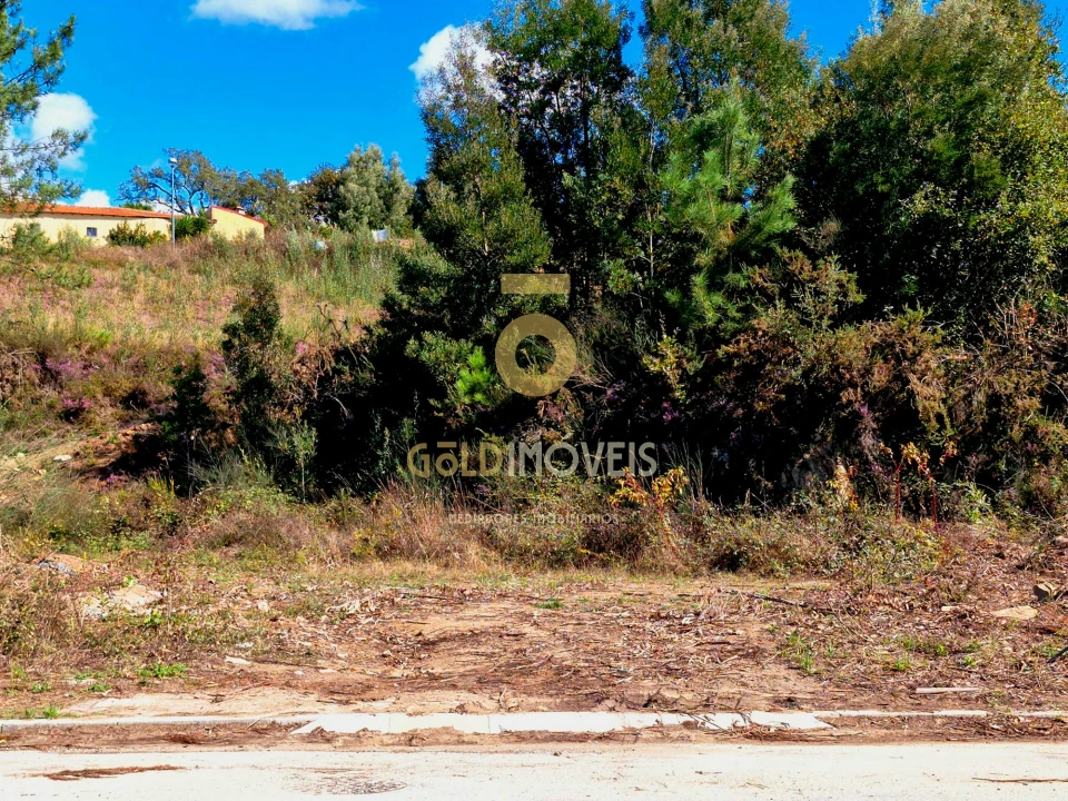 Terreno para Venda em Pinheiro da Bemposta, Travanca e Palmaz Foto 7
