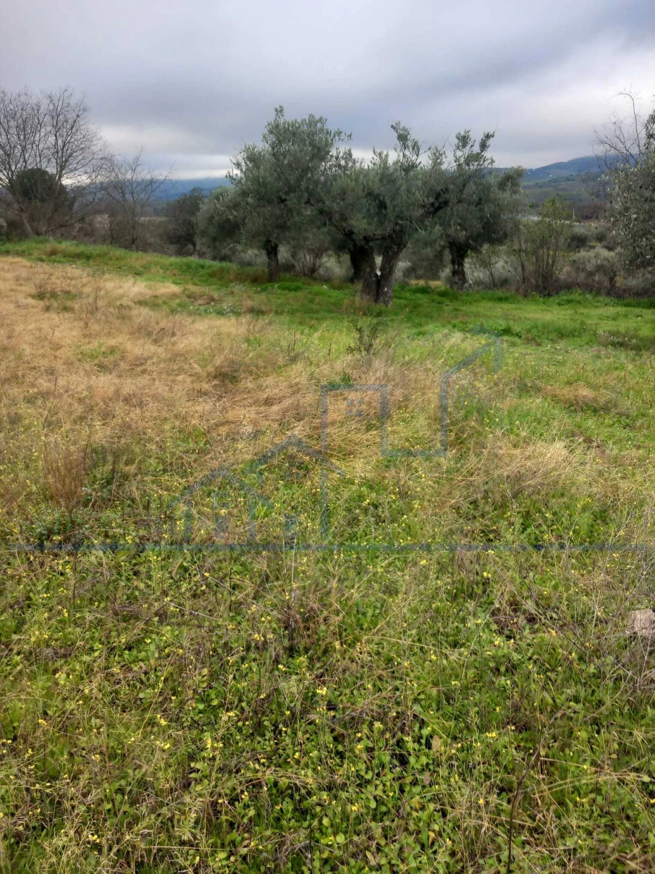 Moradia T0 para Venda em Adeganha e Cardanha Foto 8