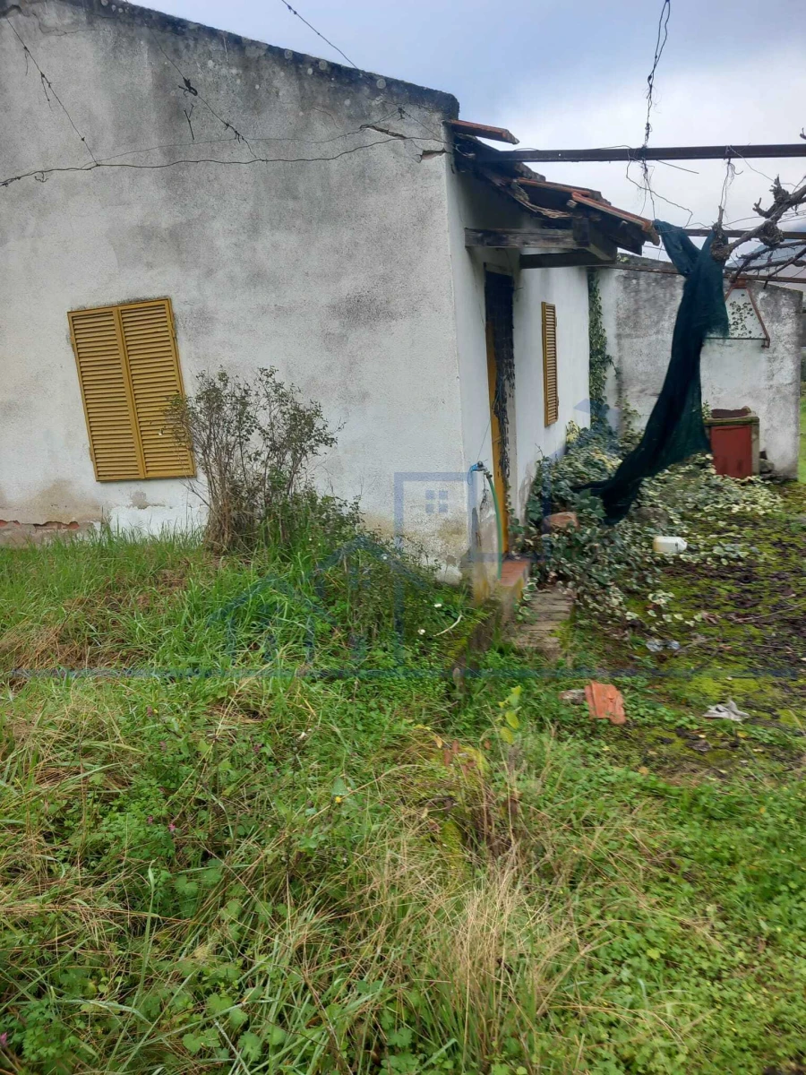 Moradia T0 para Venda em Adeganha e Cardanha Foto 2