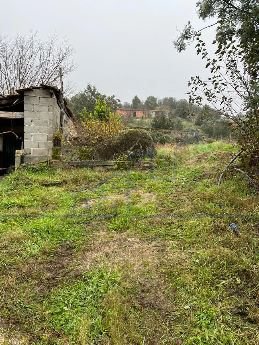 Moradia T0 para Venda em Adeganha e Cardanha Foto 13