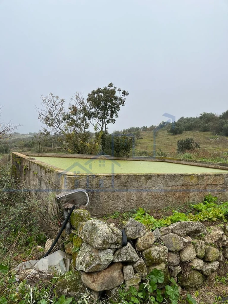 Moradia T0 para Venda em Adeganha e Cardanha Foto 9