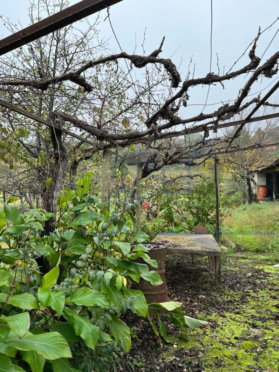Moradia T0 para Venda em Adeganha e Cardanha Foto 1