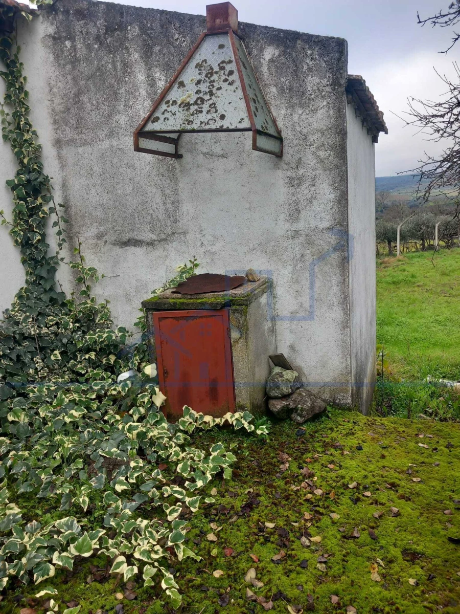 Moradia T0 para Venda em Adeganha e Cardanha Foto 11