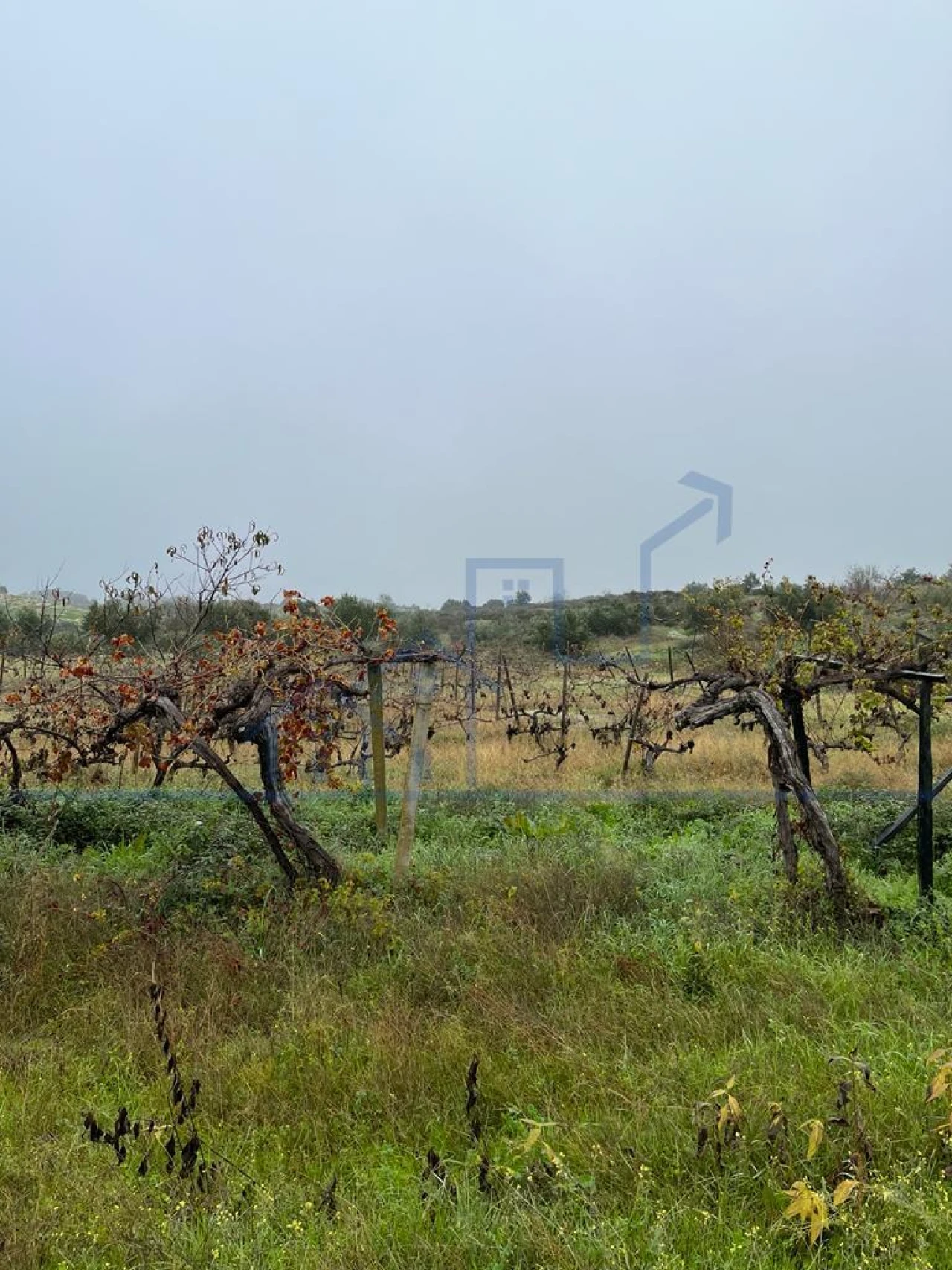 Moradia T0 para Venda em Adeganha e Cardanha Foto 14