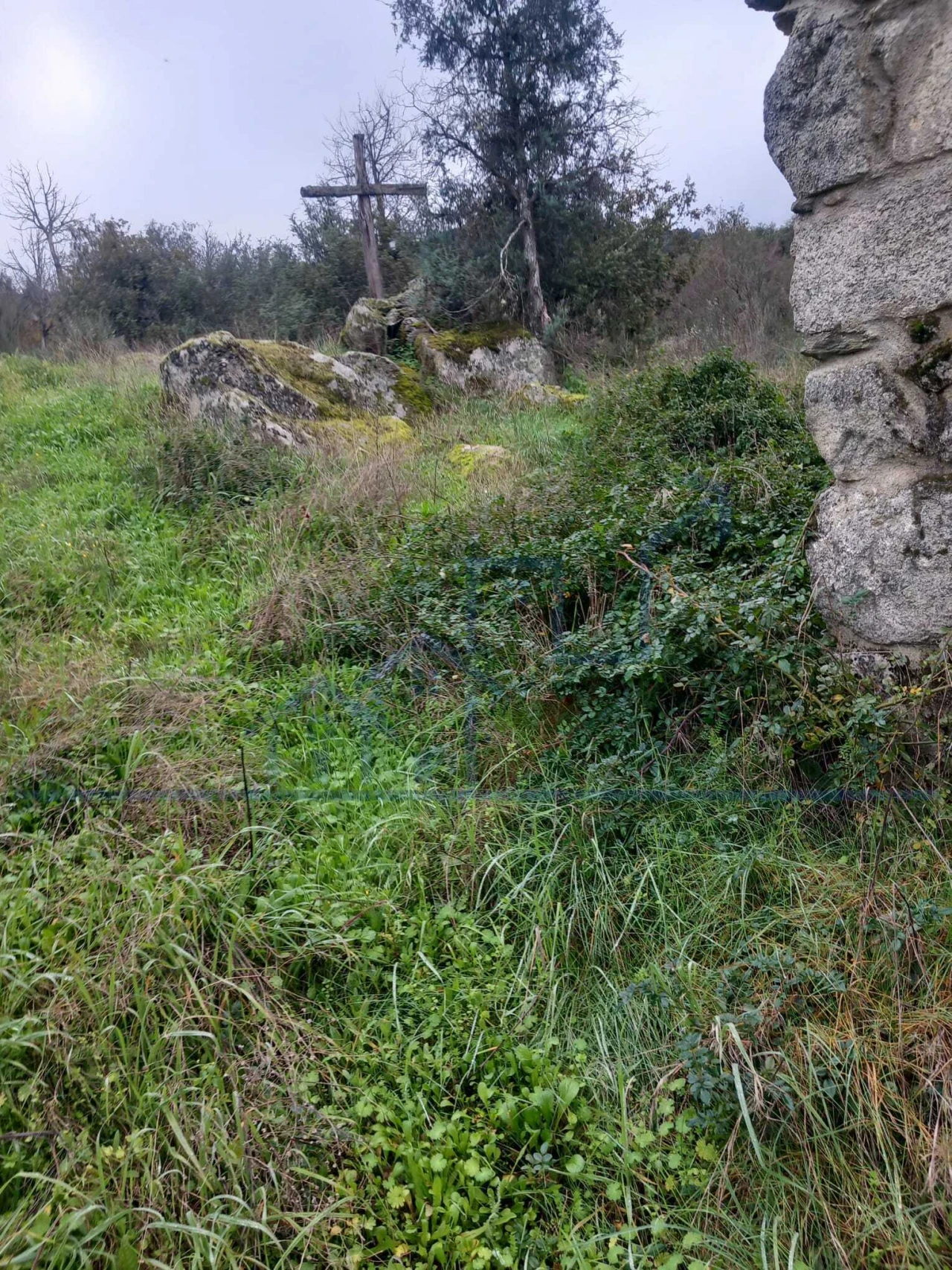 Moradia T0 para Venda em Adeganha e Cardanha Foto 6