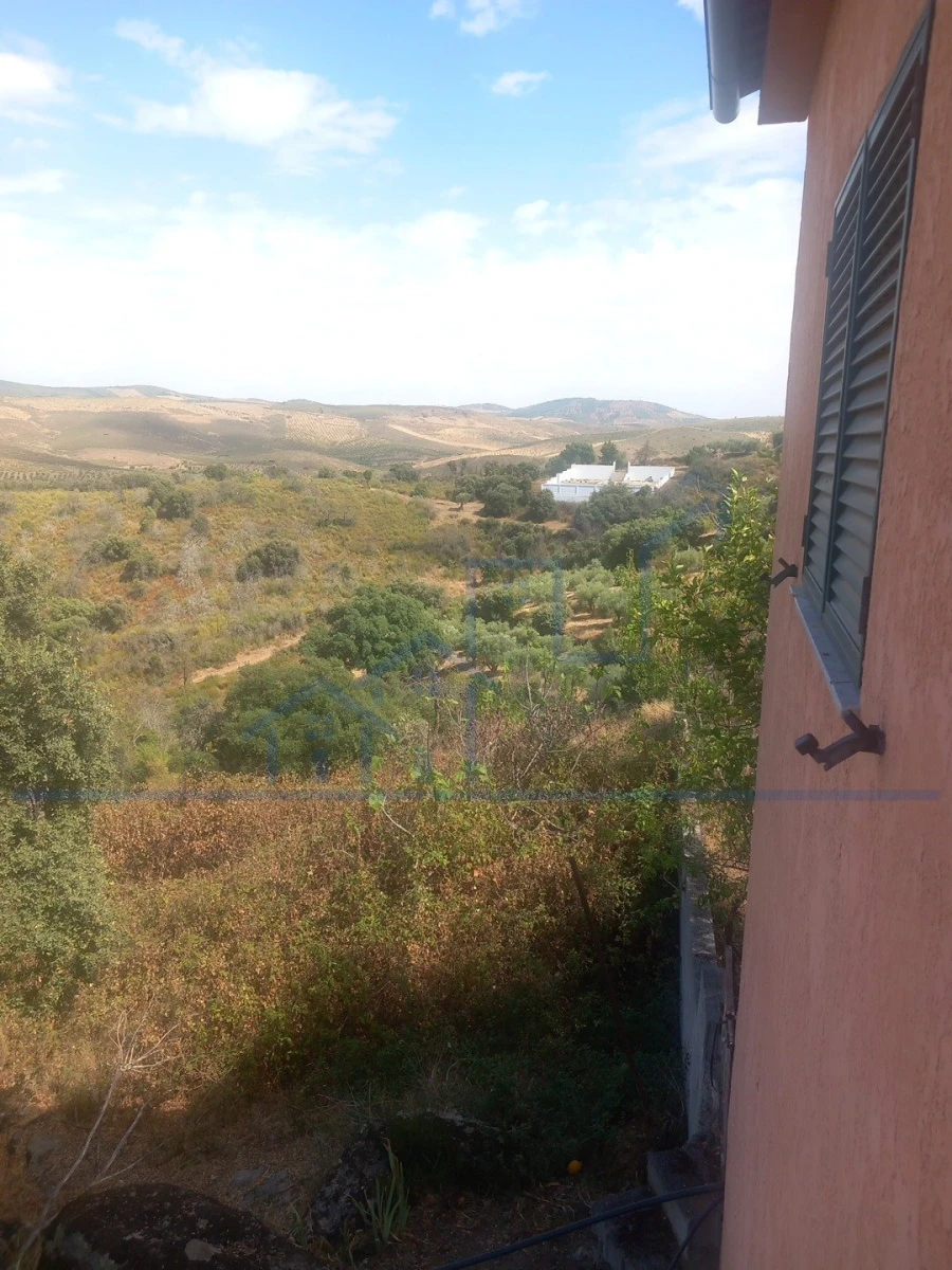 Moradia T3 para Venda em Adeganha e Cardanha Foto 19