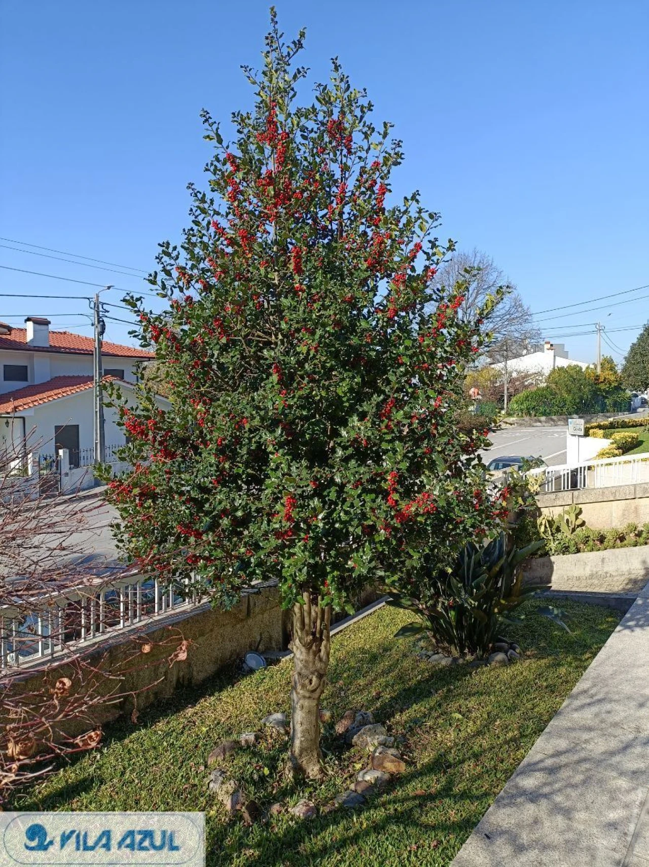 Terreno para Venda em Costa Foto 4