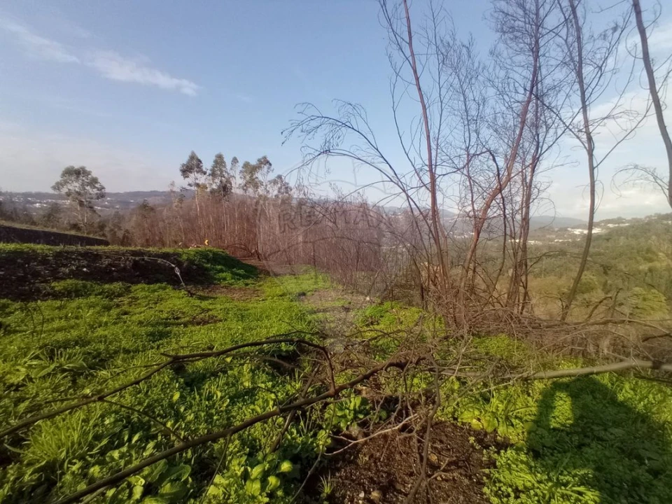 Terreno para Venda em Cedrim e Paradela Foto 2