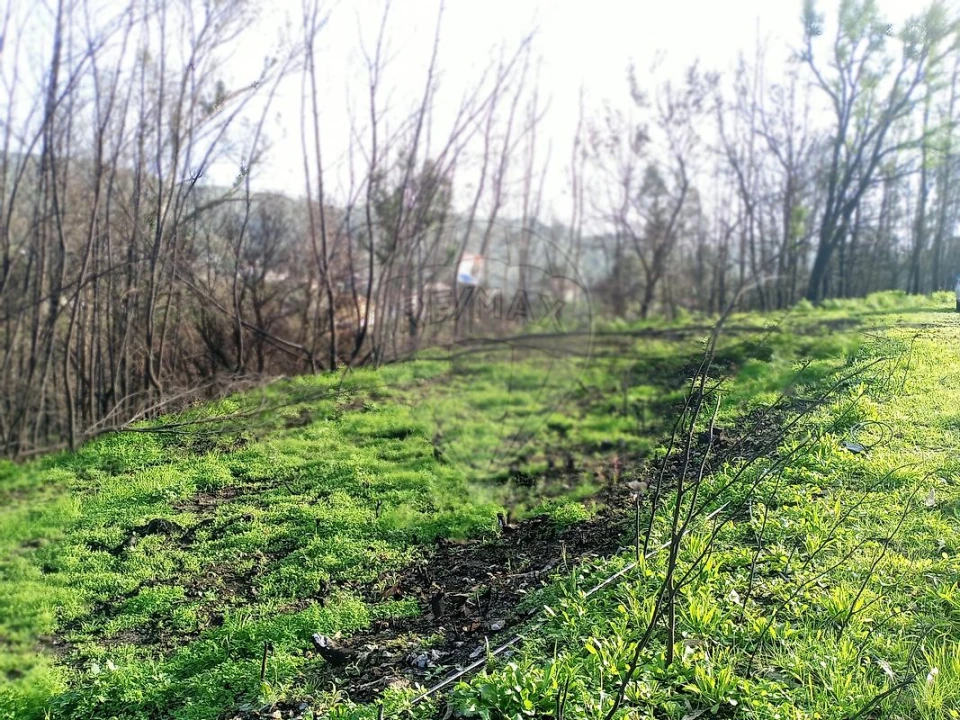 Terreno para Venda em Cedrim e Paradela Foto 6