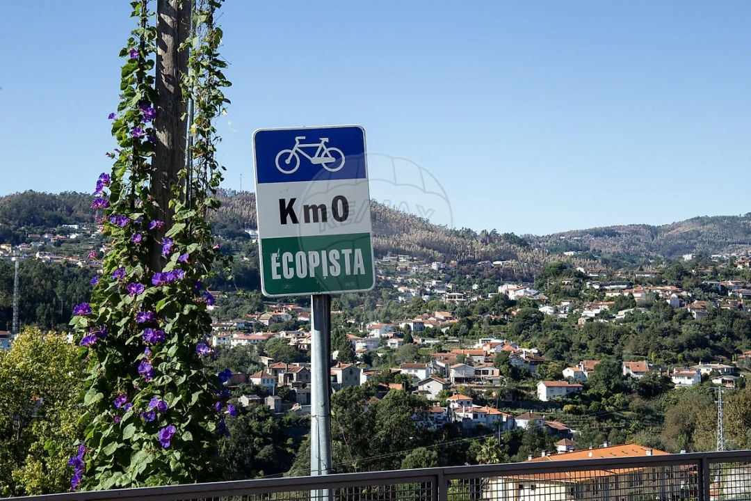 Terreno para Venda em Cedrim e Paradela Foto 9
