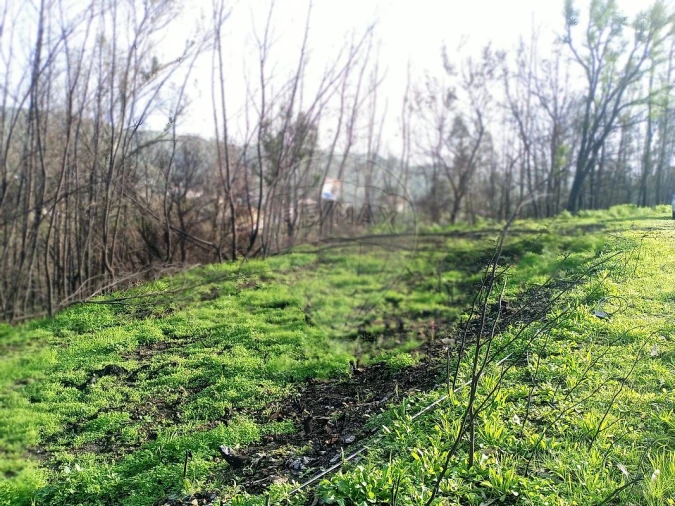 Terreno para Venda em Cedrim e Paradela Foto 6