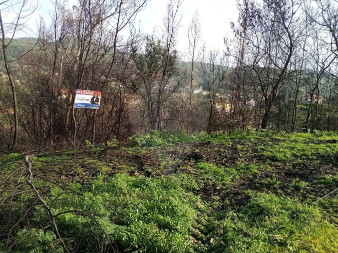 Terreno para Venda em Cedrim e Paradela Foto 3