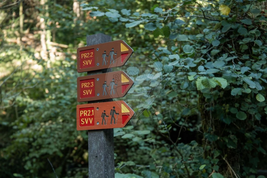 Terreno para Venda em Cedrim e Paradela Foto 10