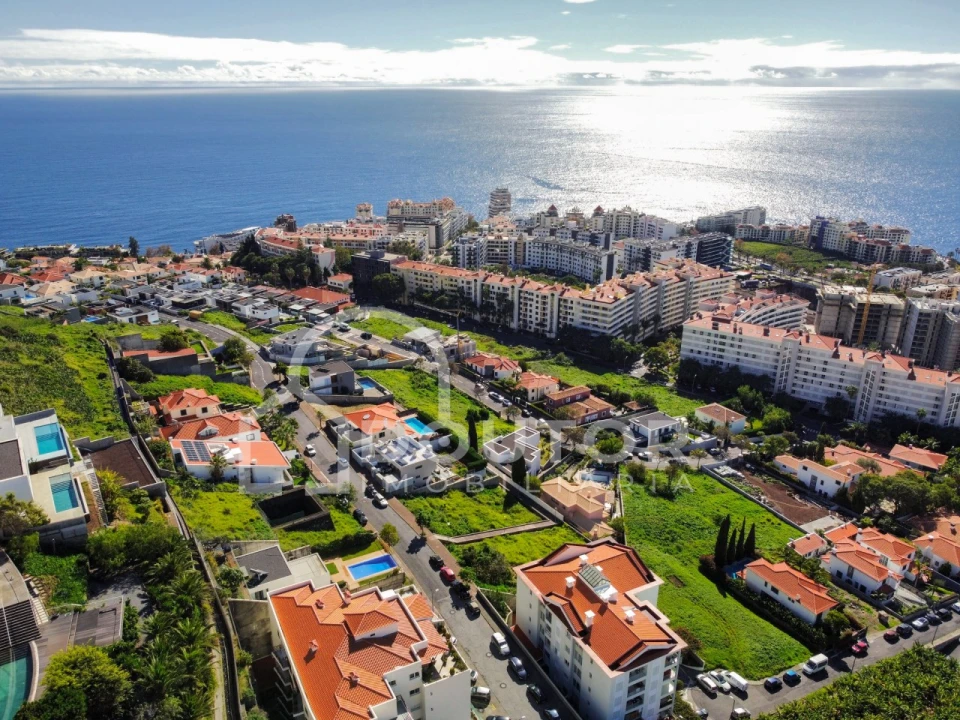 Terreno para Venda em São Martinho Foto 5