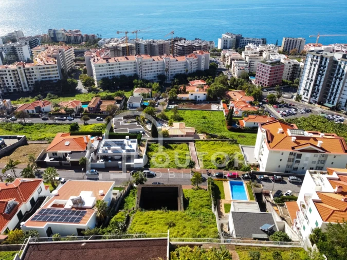Terreno para Venda em São Martinho Foto 6