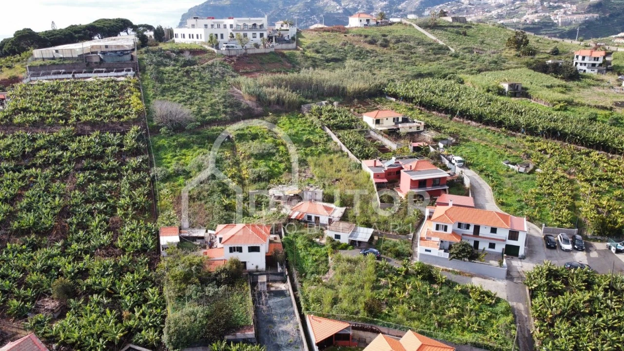 Terreno para Venda em São Martinho Foto 4