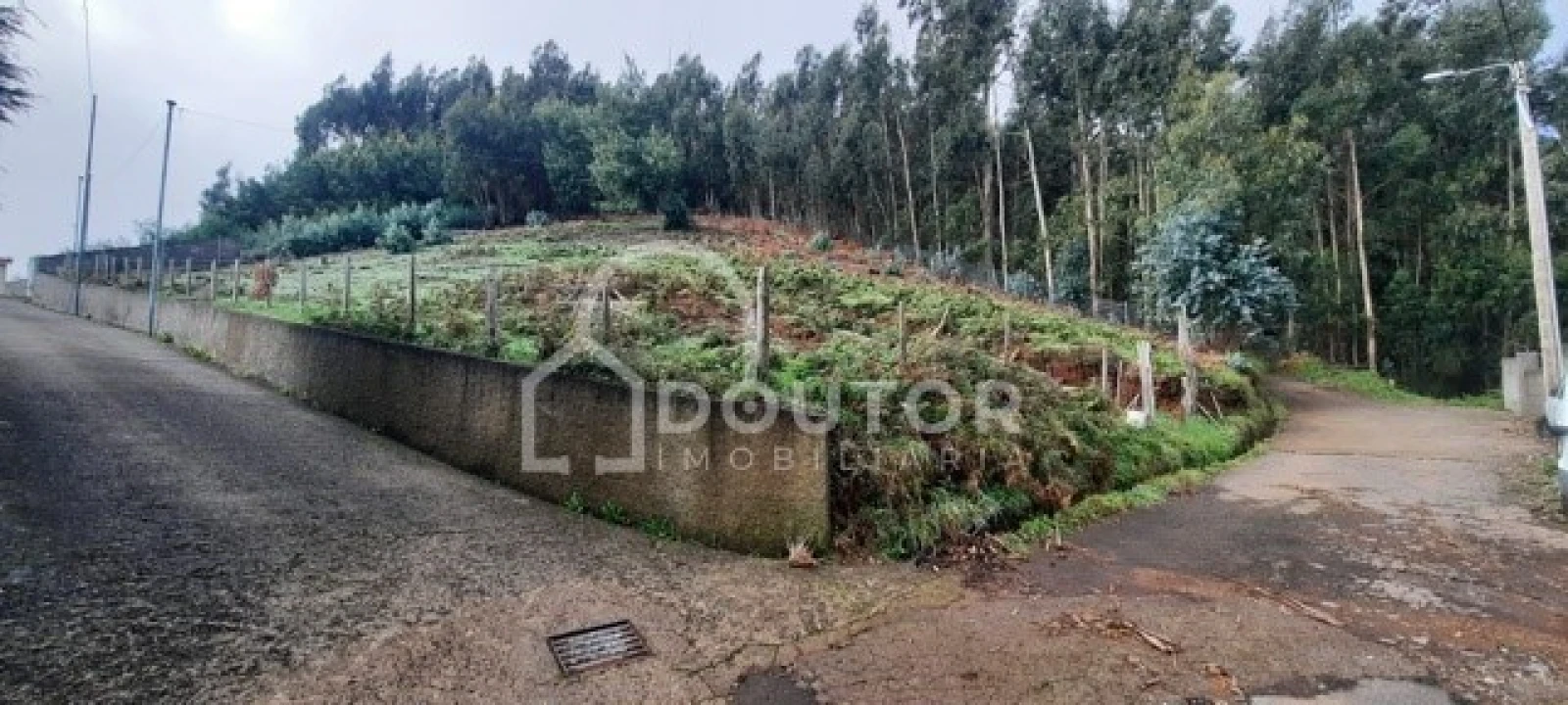 Terreno para Venda em Camacha Foto 1