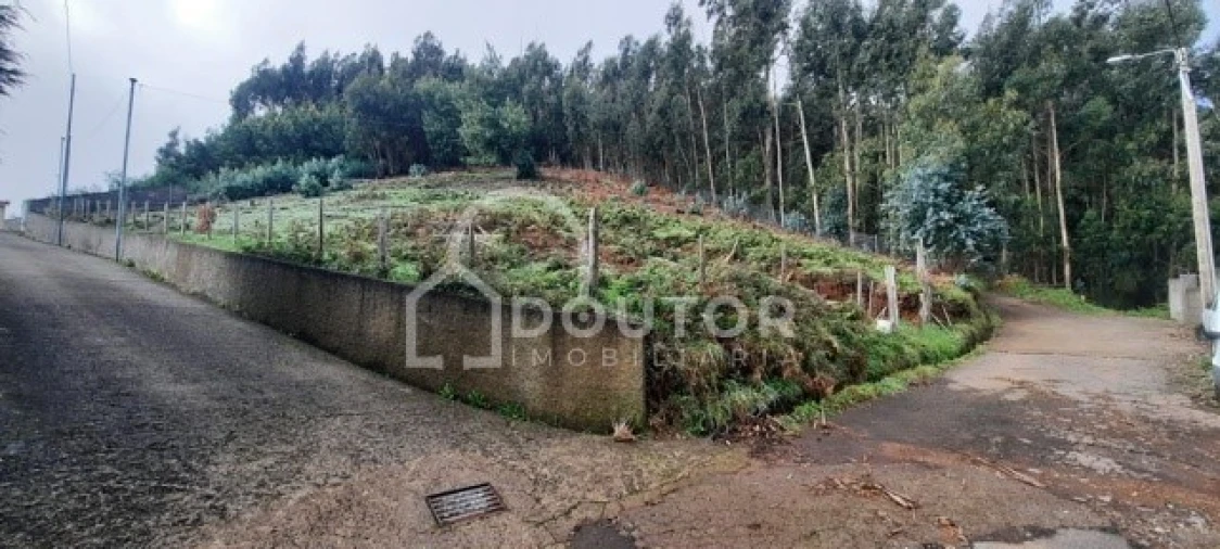 Terreno para Venda em Camacha Foto 1