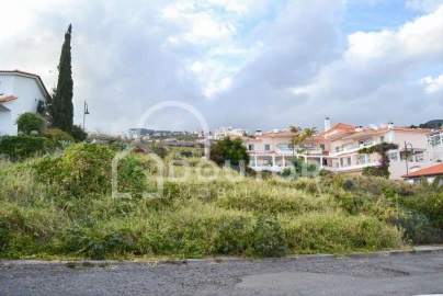 Terreno para Venda em Caniço