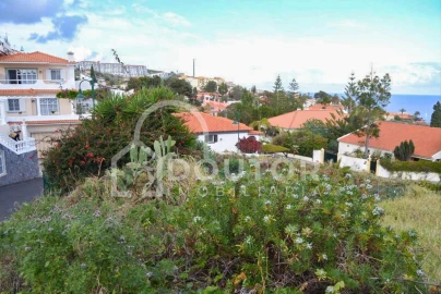 Terreno para Venda em Caniço