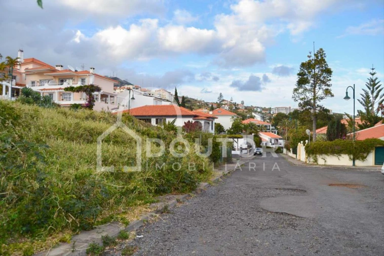 Terreno para Venda em Caniço Foto 5