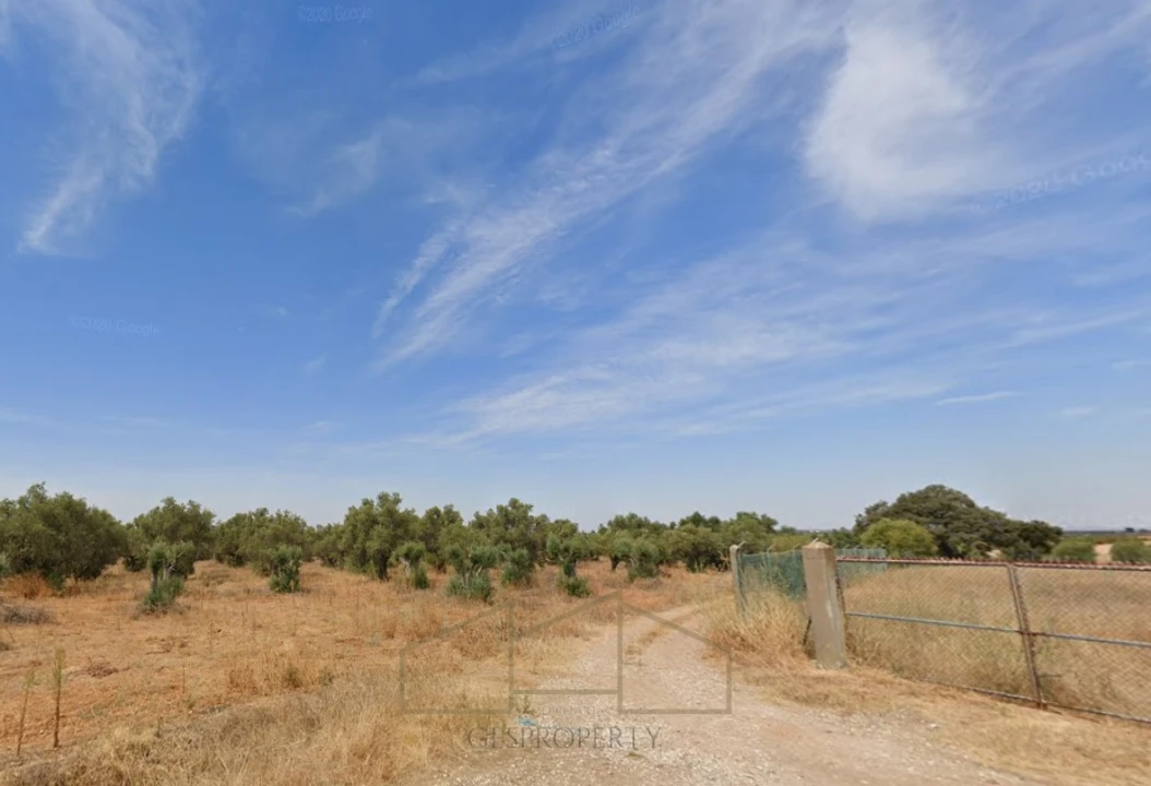 Terreno Agricola ou Rústico para Venda em Montoito Foto 1