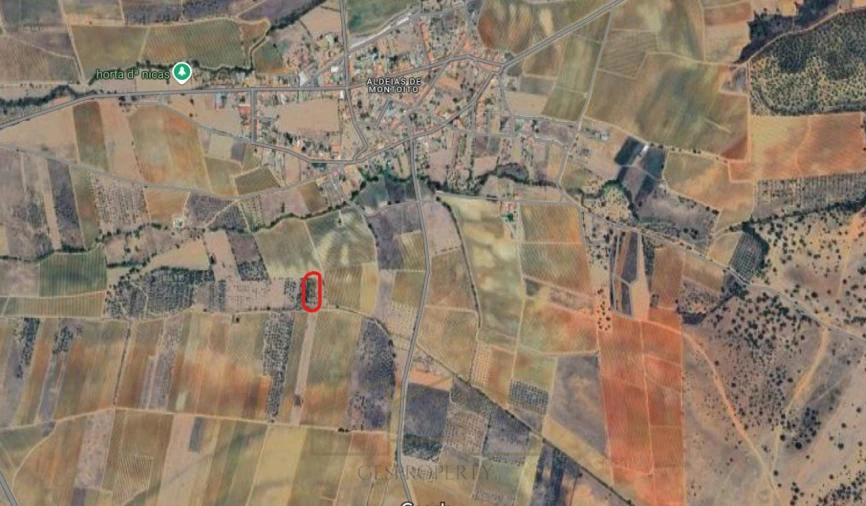 Terreno Agricola ou Rústico para Venda em Montoito Foto 2