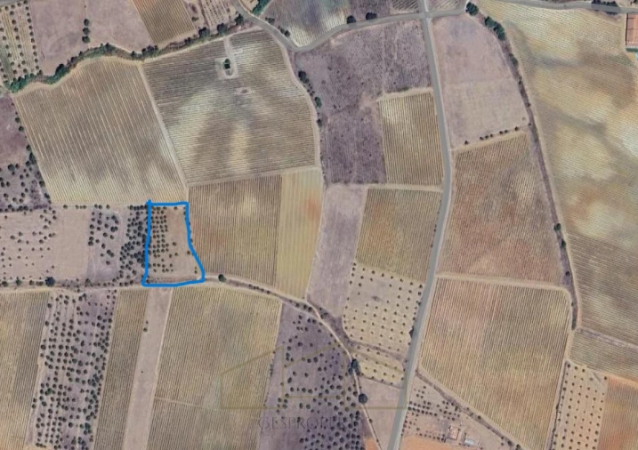 Terreno Agricola ou Rústico para Venda em Montoito Foto 3