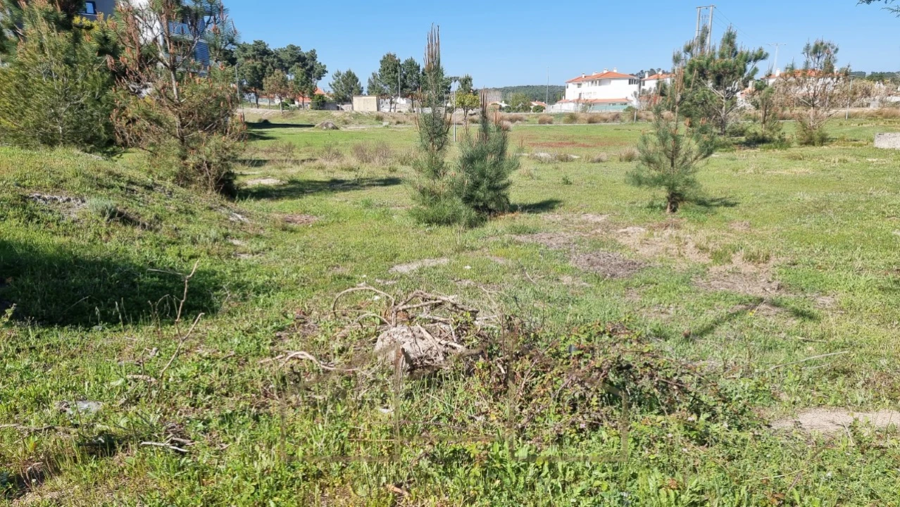 Terreno para Venda em Sesimbra (Castelo) Foto 5