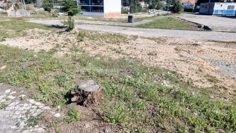 Terreno para Venda em Sesimbra (Castelo)