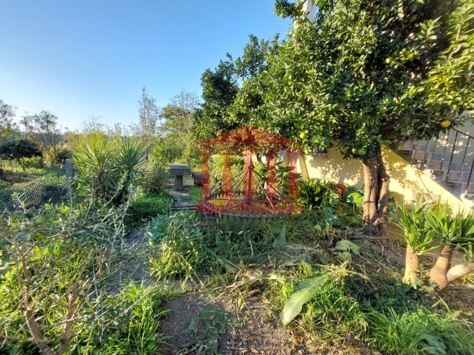 Moradia T4 para Venda em Alheira e Igreja Nova Foto 6