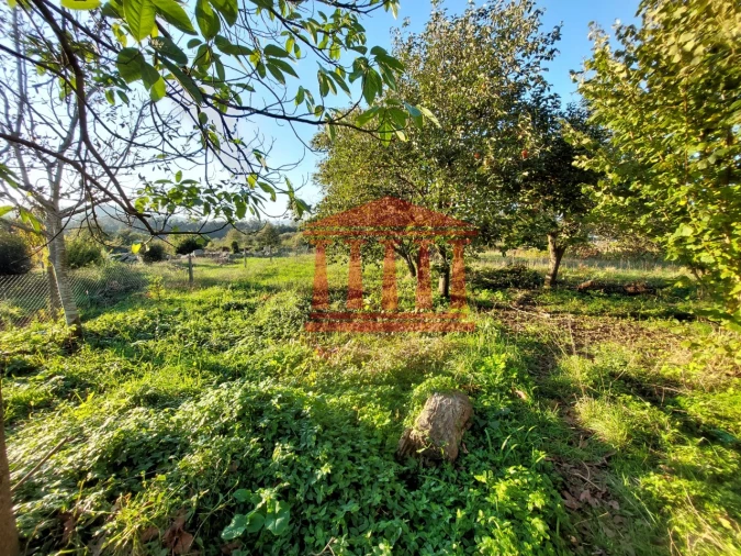 Moradia T4 para Venda em Alheira e Igreja Nova Foto 10