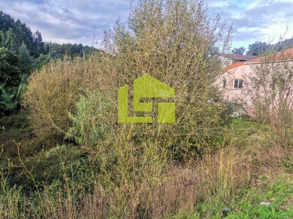 Negócio para Venda em Serpins Foto 3