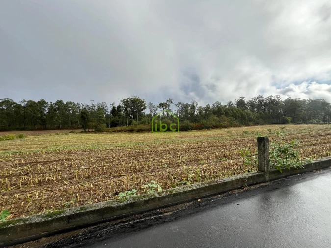 Terreno para Venda em Aver-O-Mar, Amorim e Terroso Foto 9