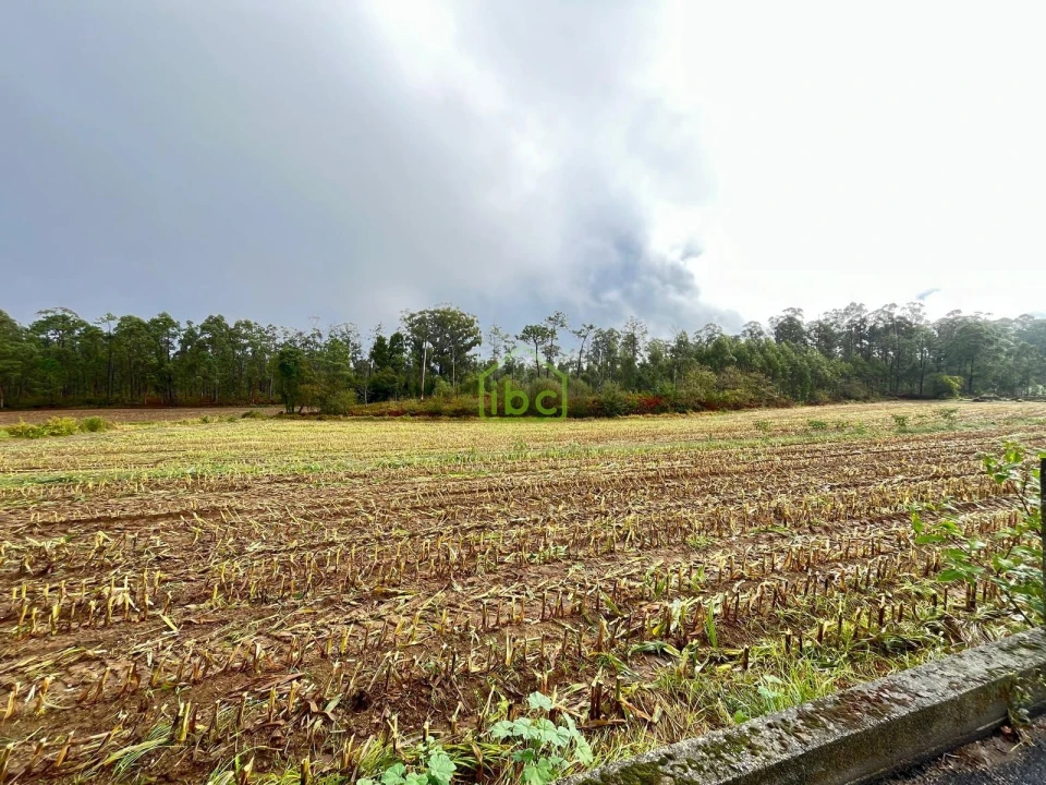 Terreno para Venda em Aver-O-Mar, Amorim e Terroso Foto 10